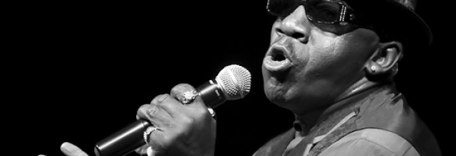 Have a Fantastic Time at the Blue Wing Blues Festival