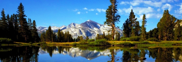 Take a Hike in Yosemite National Park