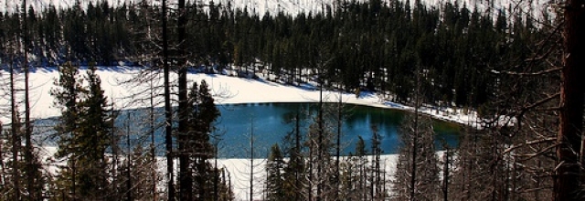 Cross Country Ski Around Suttle Lake