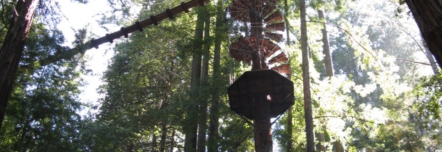 Zip through the Redwoods