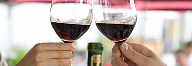 Experience Winter Wineland