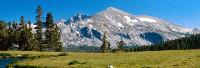 Witness the Beauty of Yosemite National Park