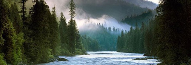 Explore the Lochsa River