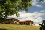 Black Walnut Inn & Vineyard