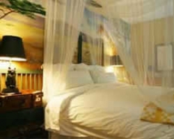 The Safari Room