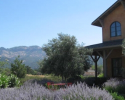 Carter Cellars at Envy Estate Winery