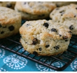 Dried Wild Blueberry Scones