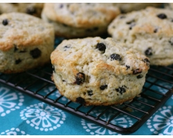 Dried Wild Blueberry Scones