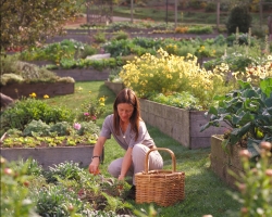 Sustainability, the Community & “Conscious” Tourism