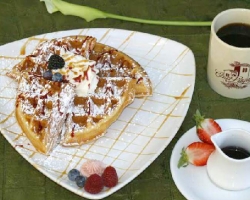 Breakfast at Casa Laguna