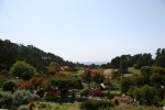 Stanford Inn by the Sea