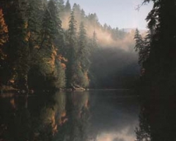 Fly Fishing on the North Umpqua River