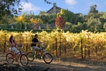 The Wine Country Inn