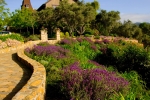 The Wine Country Inn