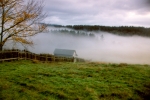 Turtleback Farm Inn