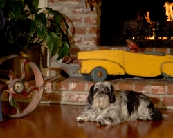 Pet Friendly Sonoma Cottage