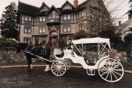 Abigail's Hotel