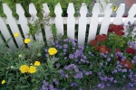 The Shelburne Inn