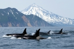 British Columbia
