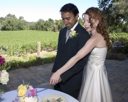 Elopement in the Vineyards