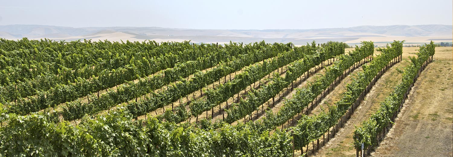 Touchet, Washington Unique Inns, Bed and Breakfasts, Boutique Hotels