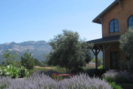 Carter Cellars at Envy Estate Winery