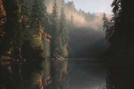 Fly Fishing on the North Umpqua River