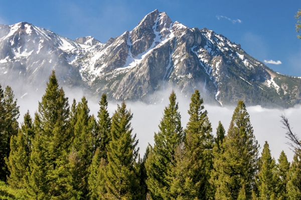 Idaho